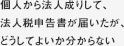 個人から法人成りして、法人税申告書が届いたが、どうしてよいか分からない